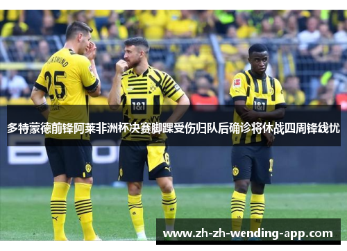多特蒙德前锋阿莱非洲杯决赛脚踝受伤归队后确诊将休战四周锋线忧