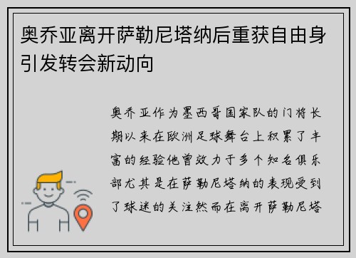 奥乔亚离开萨勒尼塔纳后重获自由身引发转会新动向 奥乔亚离开萨勒尼塔纳后重获自由身引发转会新动向